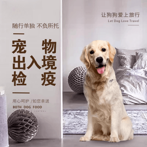 六安市宠物托运到哥伦比亚猫狗宠物入境规定和