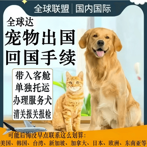 六安市宠物托运到柬埔寨宠物入境规定和要求