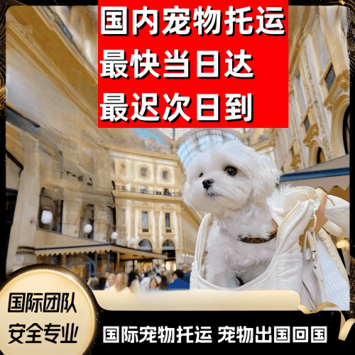 六安市到澳大利亚（澳洲）宠物入境规定和要求