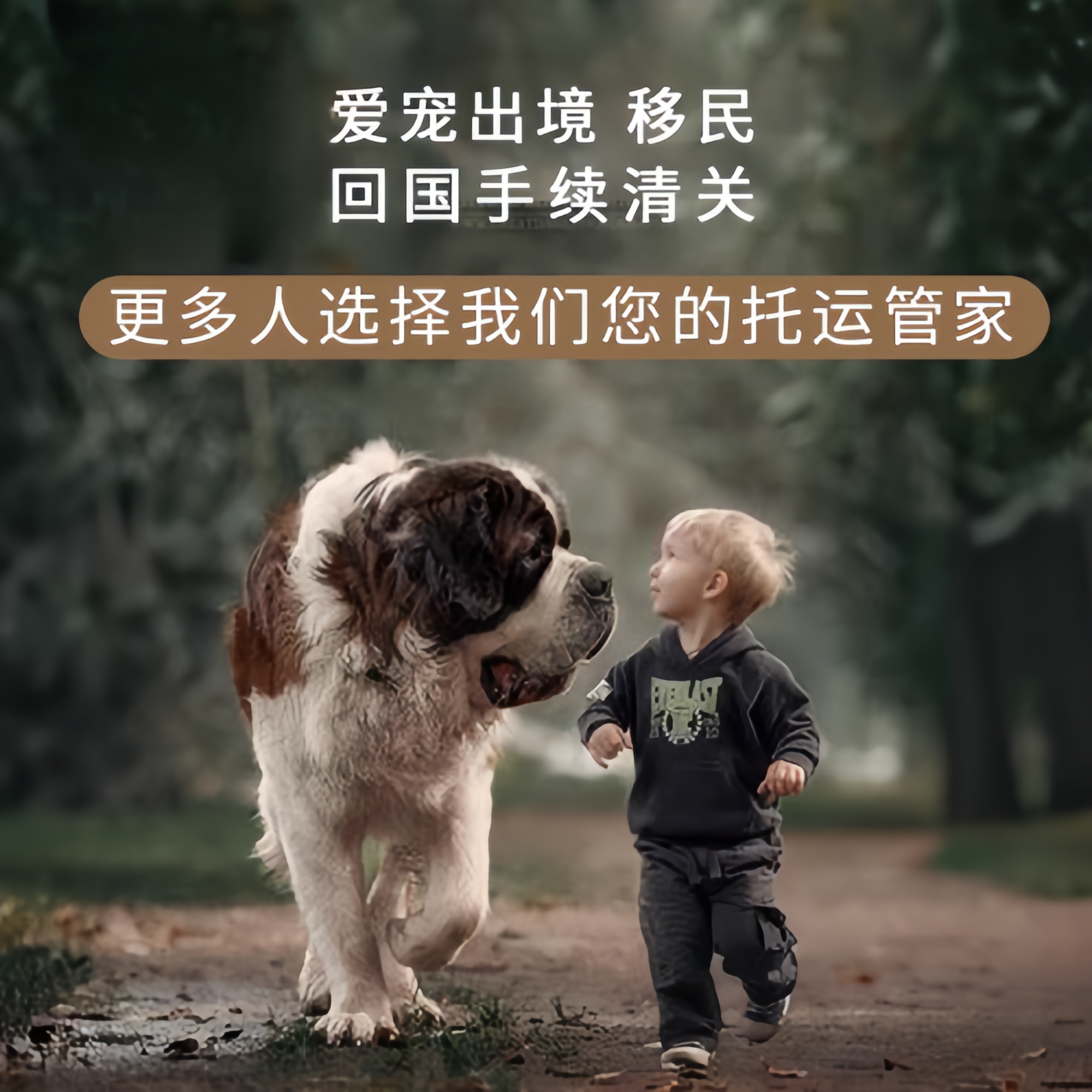 满财六安市宠物全球达宠物托运在遵守入境目的地政策的条件