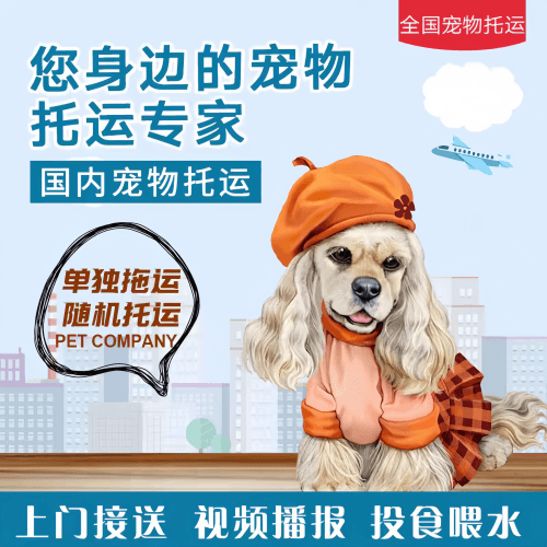 满财六安市宠物全球达宠物托运作为专业的宠物运输代理机构